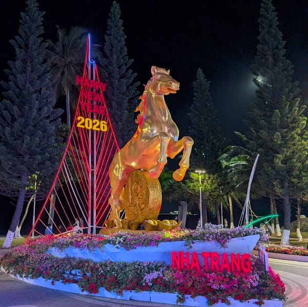 Wedding Part Deux & Nha Trang