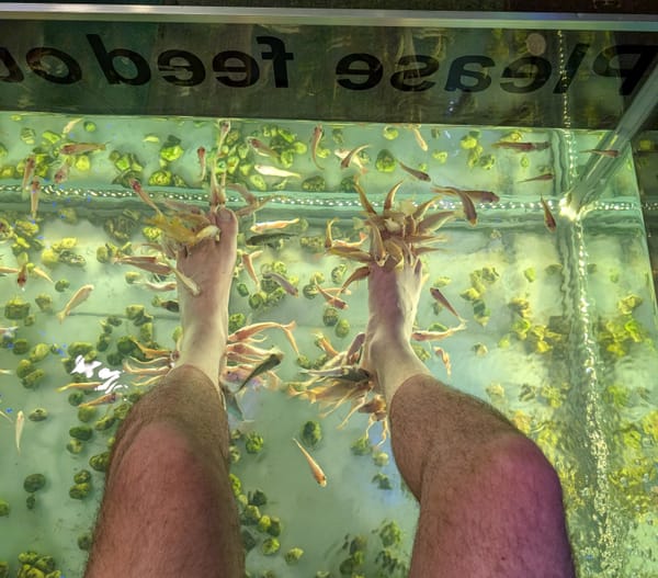 Fish Massage!